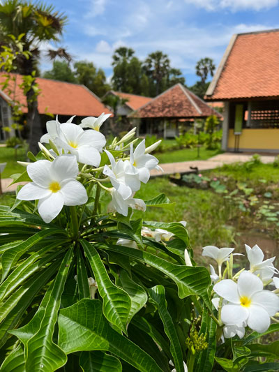 Welcome to Senteurs d'Angkor Workshop