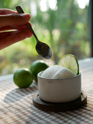Home made lime ice cream in a white ceramic cup with a home made crispy cone piece