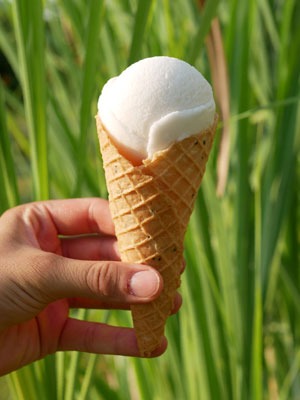 Home made lime ice cream in a home made crispy cone